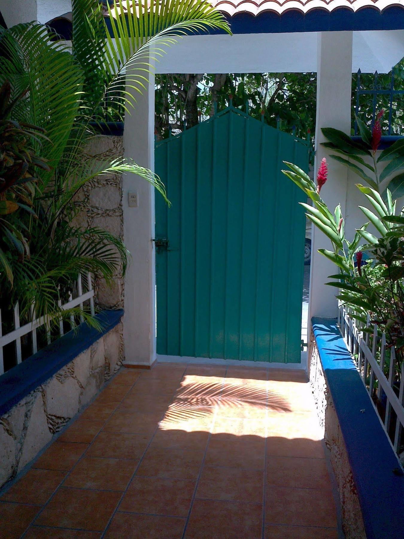 Alicia'S Bed & Breakfast Cozumel Zewnętrze zdjęcie