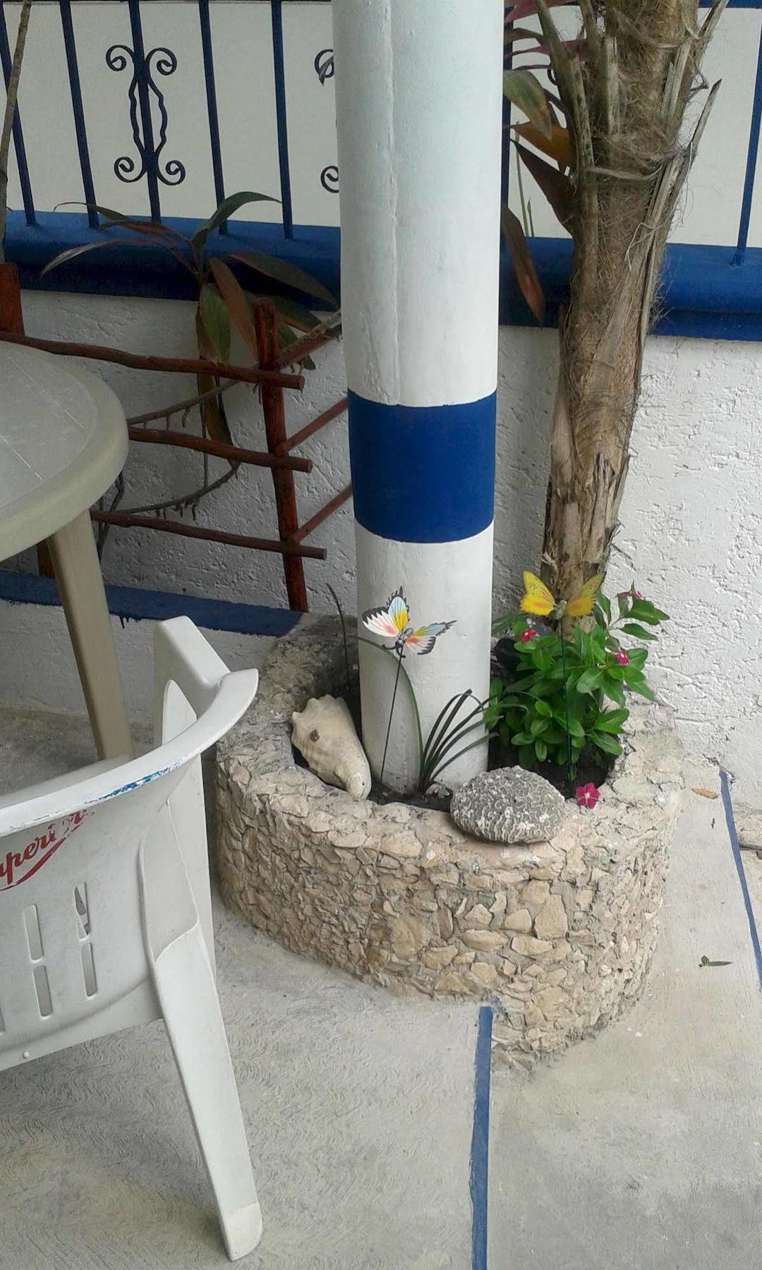 Alicia'S Bed & Breakfast Cozumel Zewnętrze zdjęcie