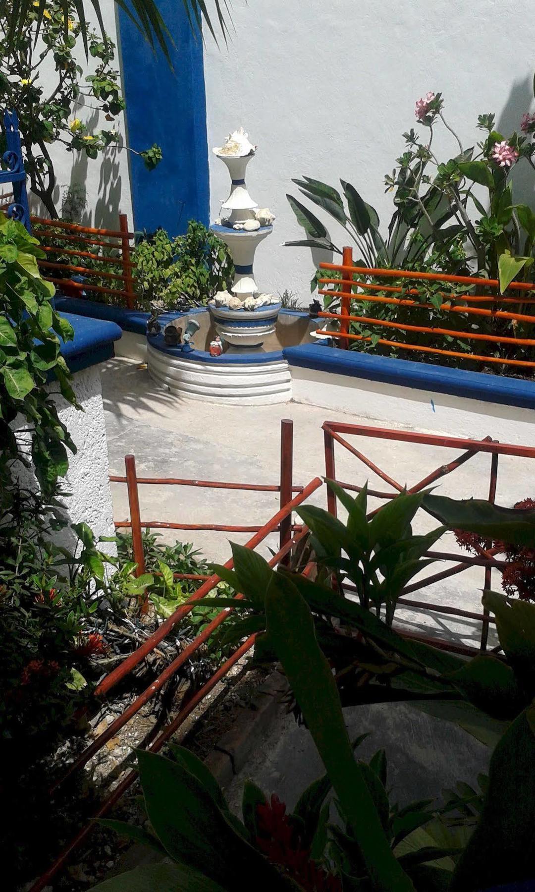 Alicia'S Bed & Breakfast Cozumel Zewnętrze zdjęcie